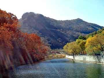 奉节驾驶员招聘热点，职业前景、需求分析与应聘指南全解析