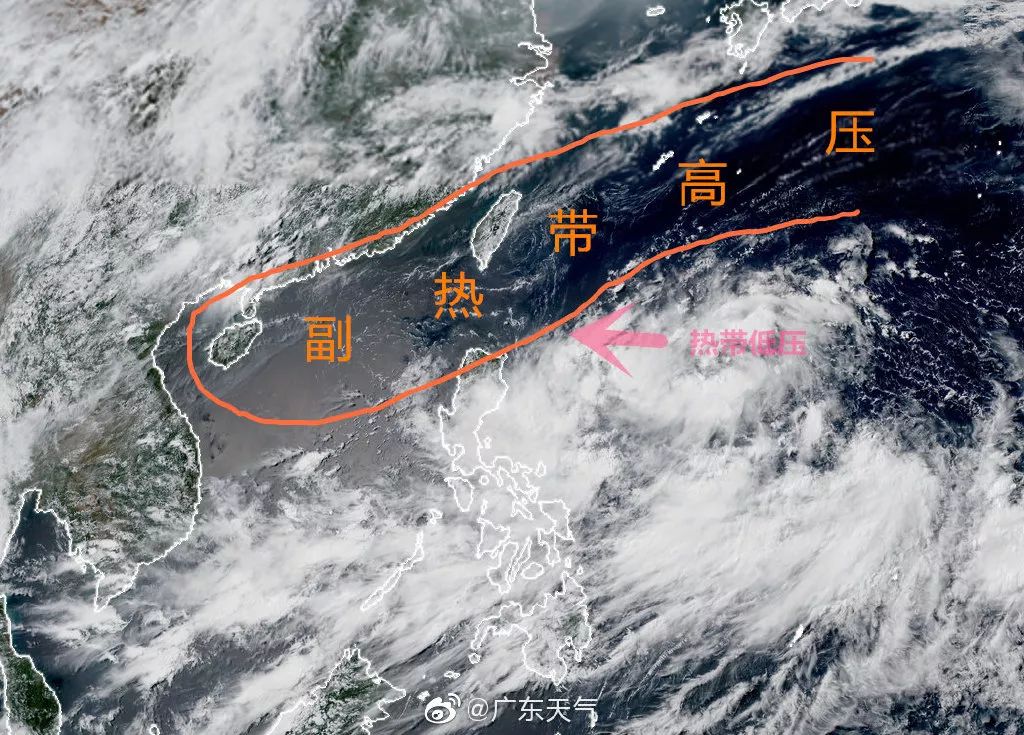 青岛台风最新信息及动态更新