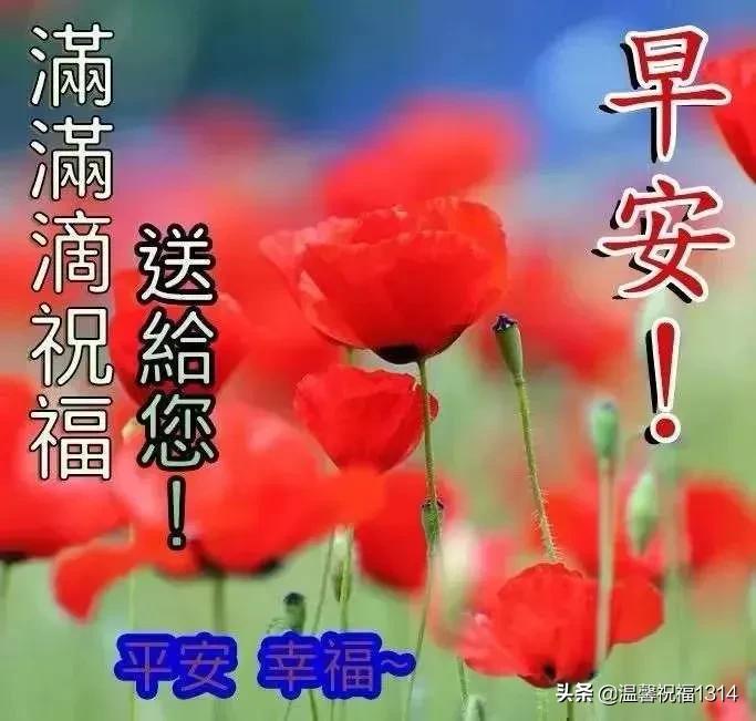 探索汉字新世界的奥秘，最新汉字揭秘