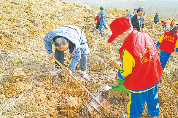 遂平最新土拍动态，市场走势、影响及未来展望分析