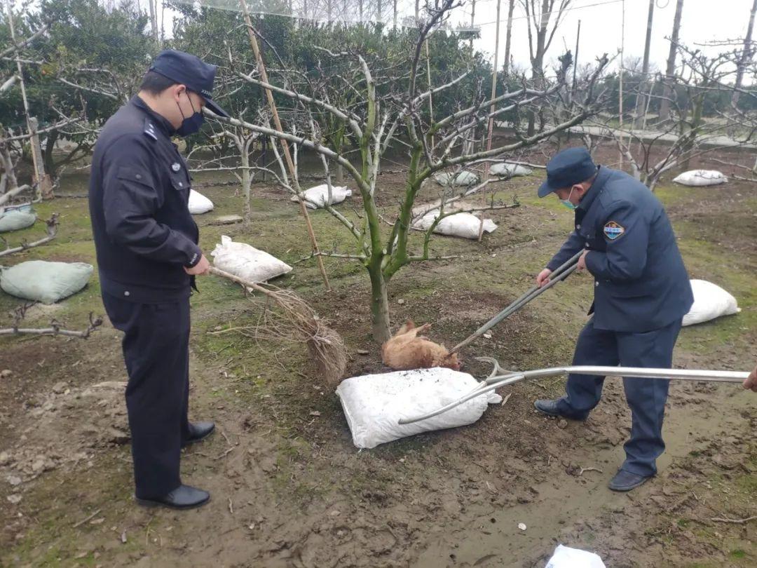 建筑材料 第17页