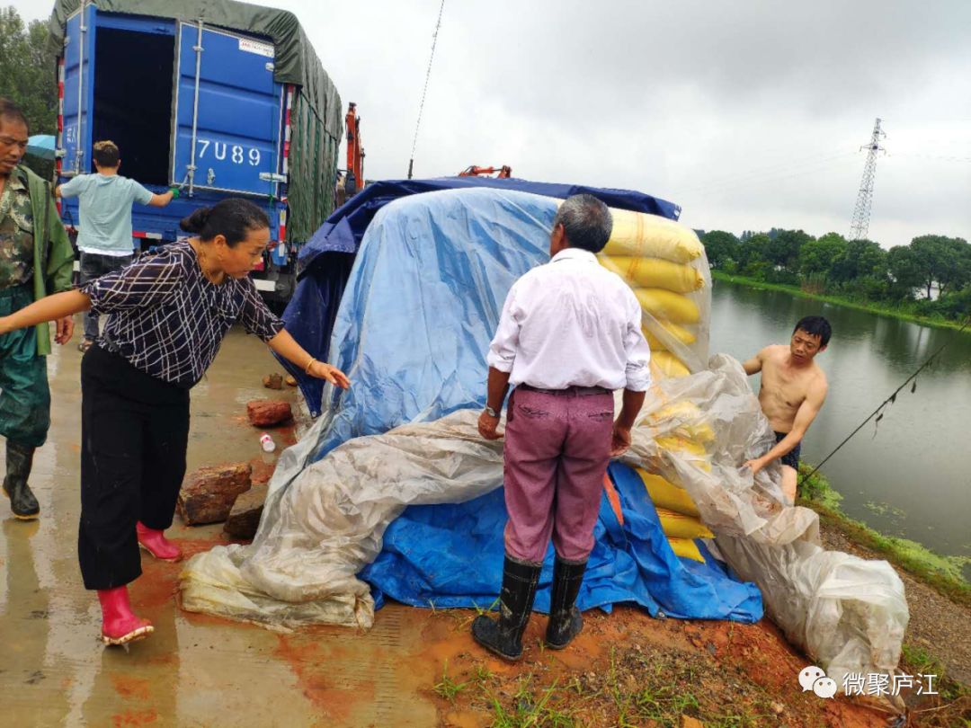 合肥庐江暴雨侵袭下的紧急救援与重建工作最新消息