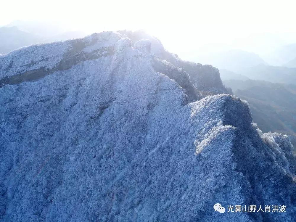 青界山林场迈向绿色可持续未来的最新发展规划